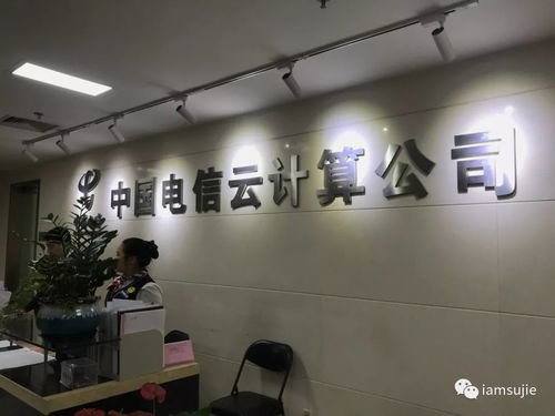 2021年末企業(yè)信息技術(shù)咨詢服務(wù)與產(chǎn)品相關(guān)培訓(xùn)咨詢雙輪驅(qū)動，助力數(shù)字化轉(zhuǎn)型